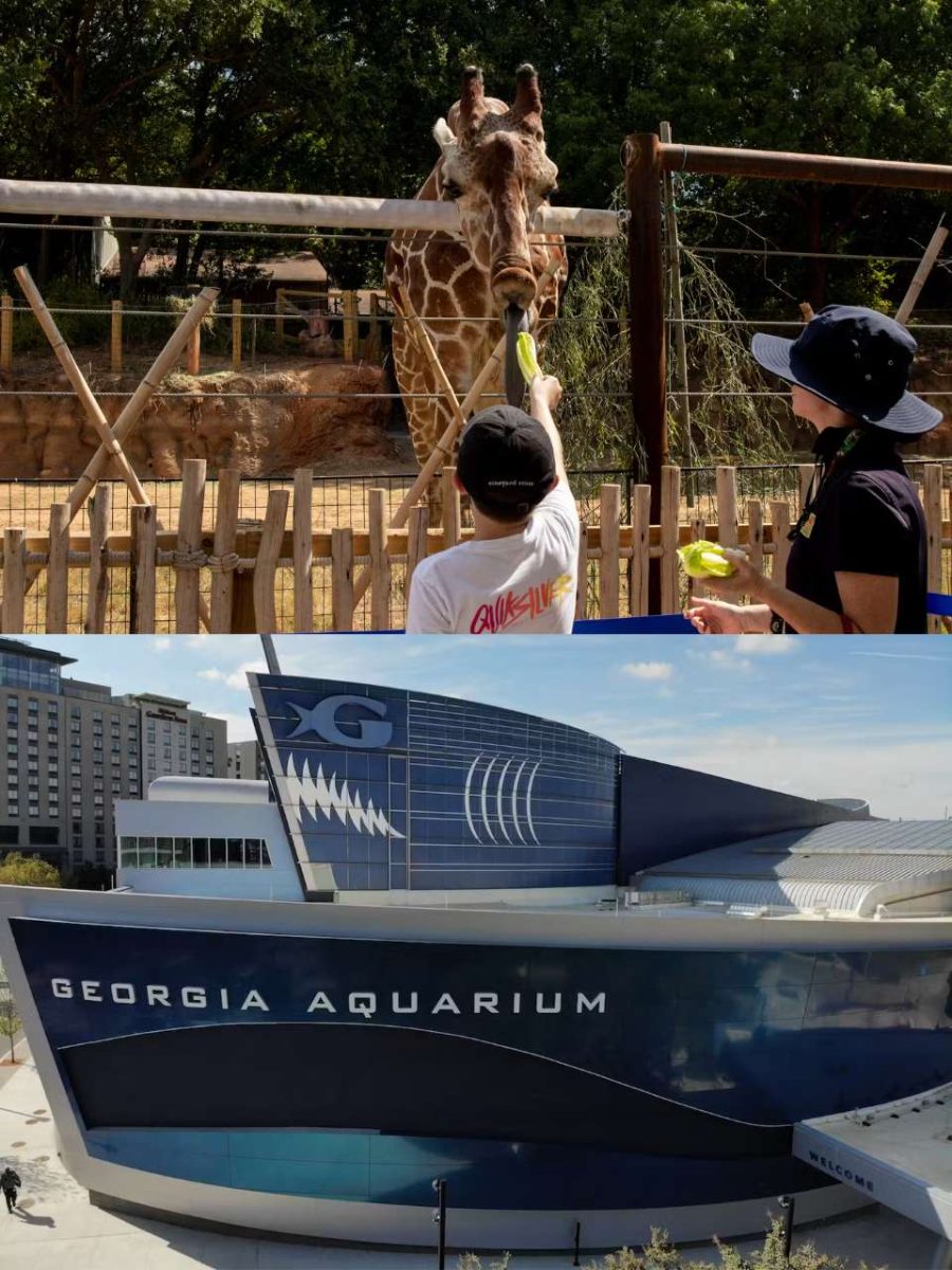 Zoo Atlanta + Georgia Aquarium Pass