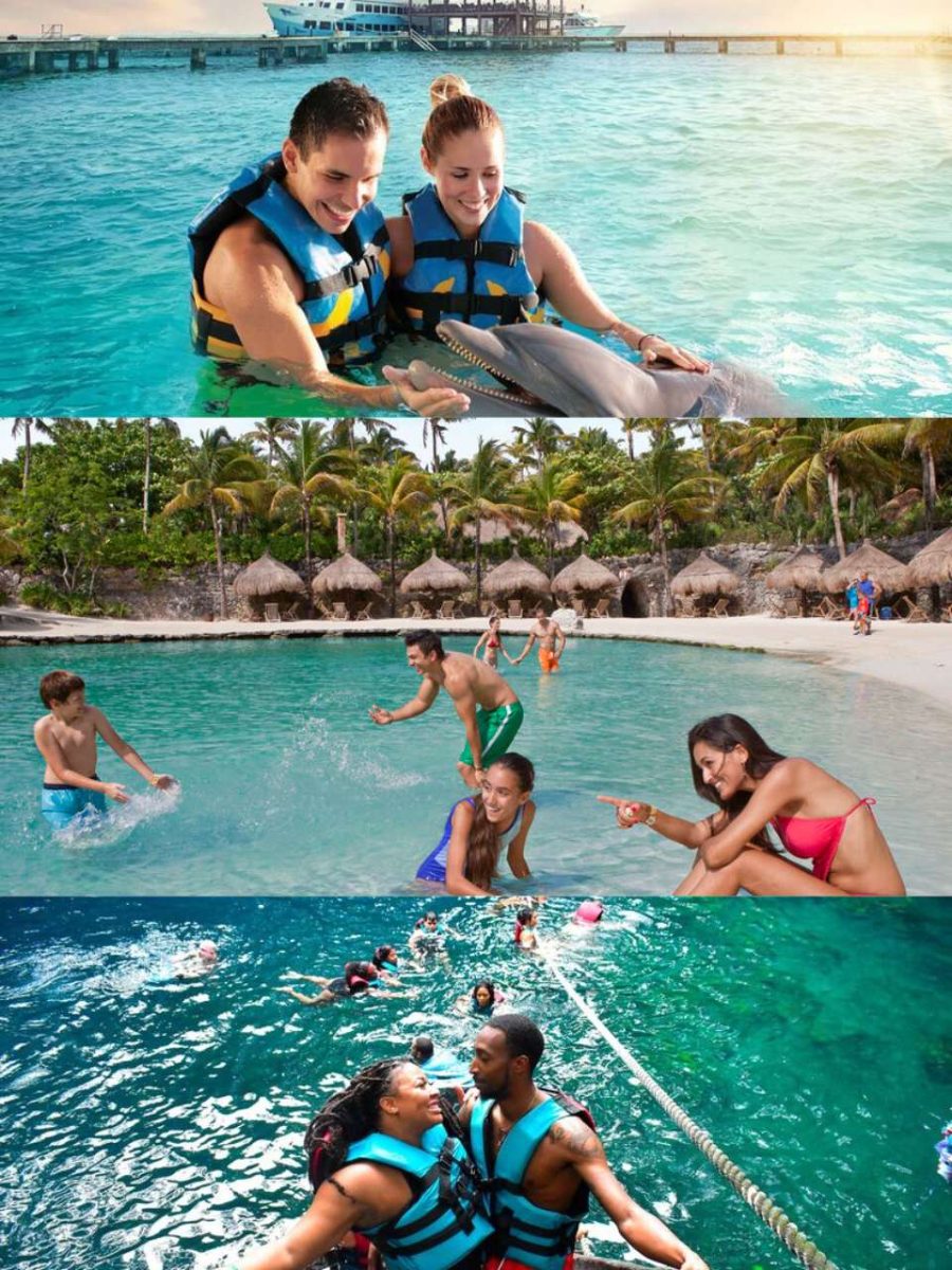 All inclusive Pass (2DAYS)